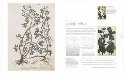 The Science of Plants. Inside their Secret World
