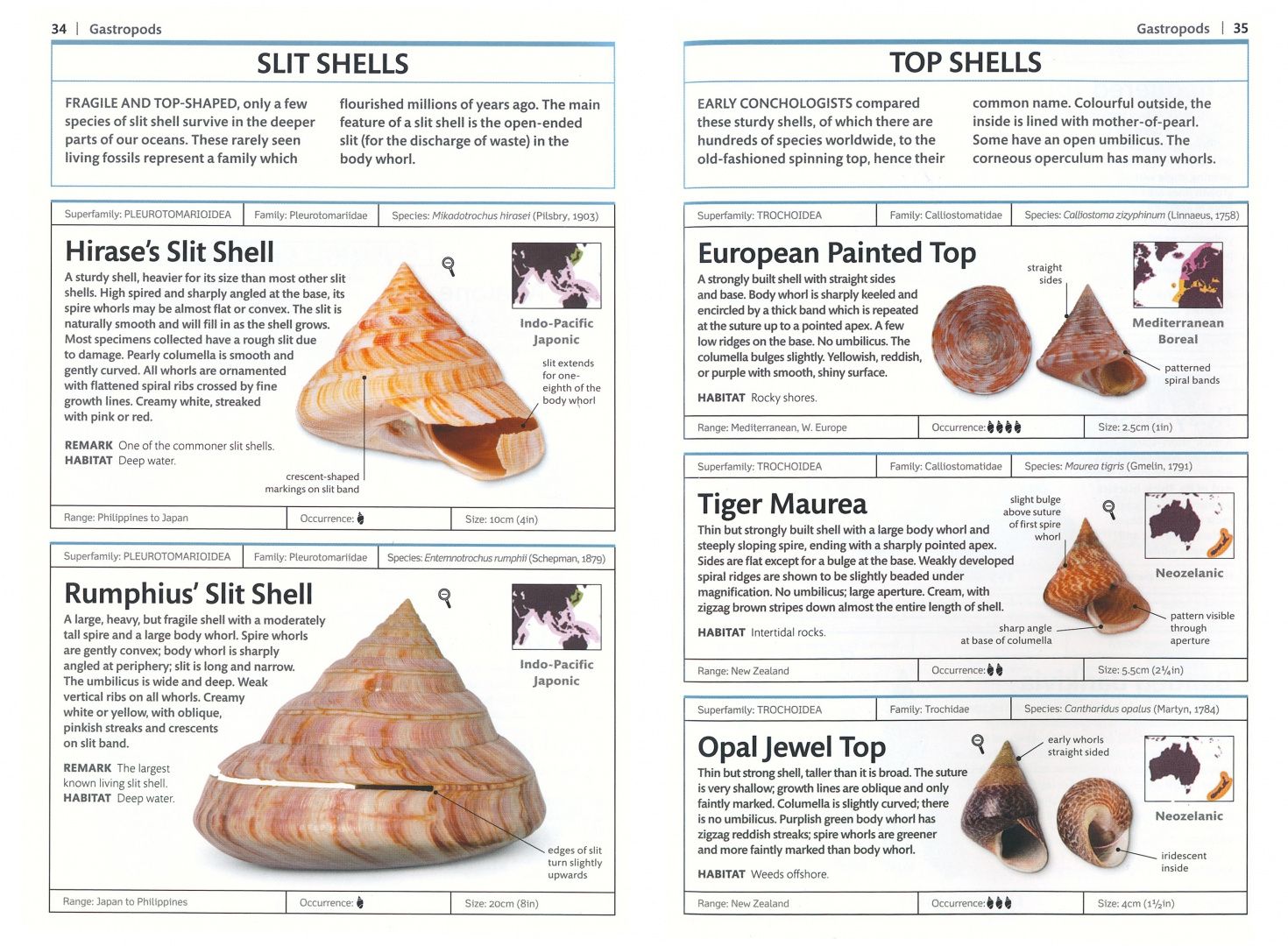 S. Dance: Handbooks. Shells