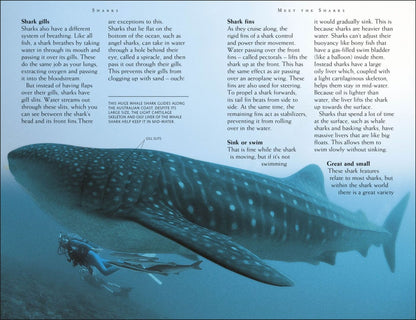 Miranda Macquitty: Mega Bites. Sharks. Riveting Reads for Curious Kids