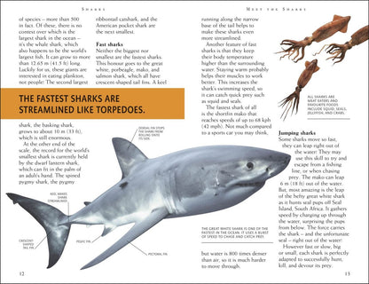 Miranda Macquitty: Mega Bites. Sharks. Riveting Reads for Curious Kids