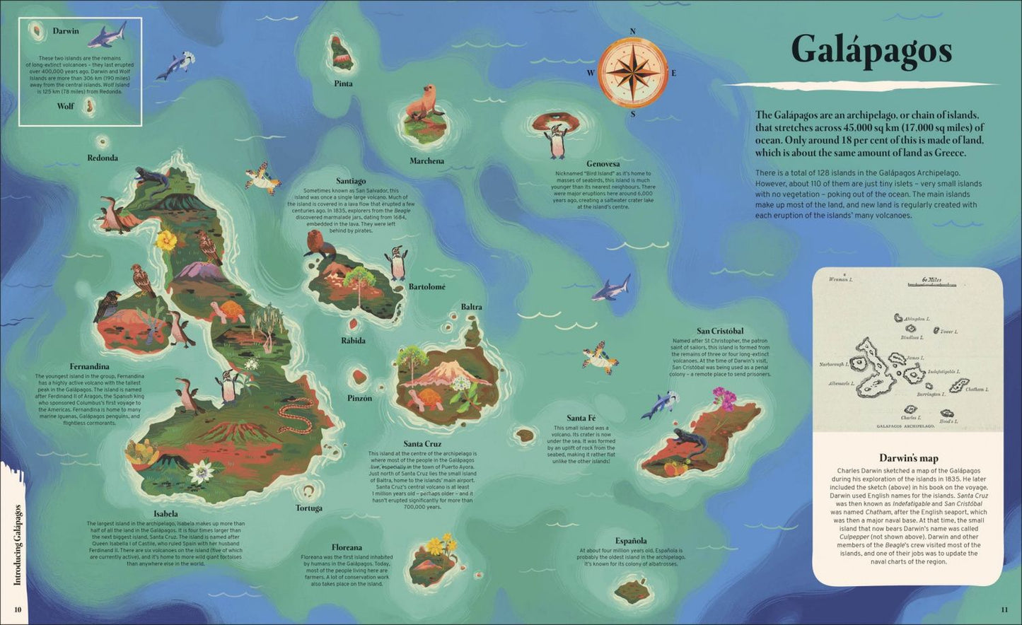 Tom Jackson: Galapagos