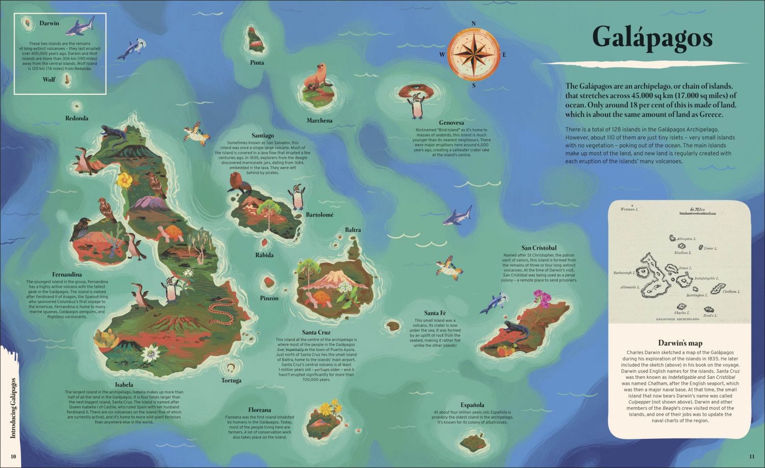 Tom Jackson: Galapagos