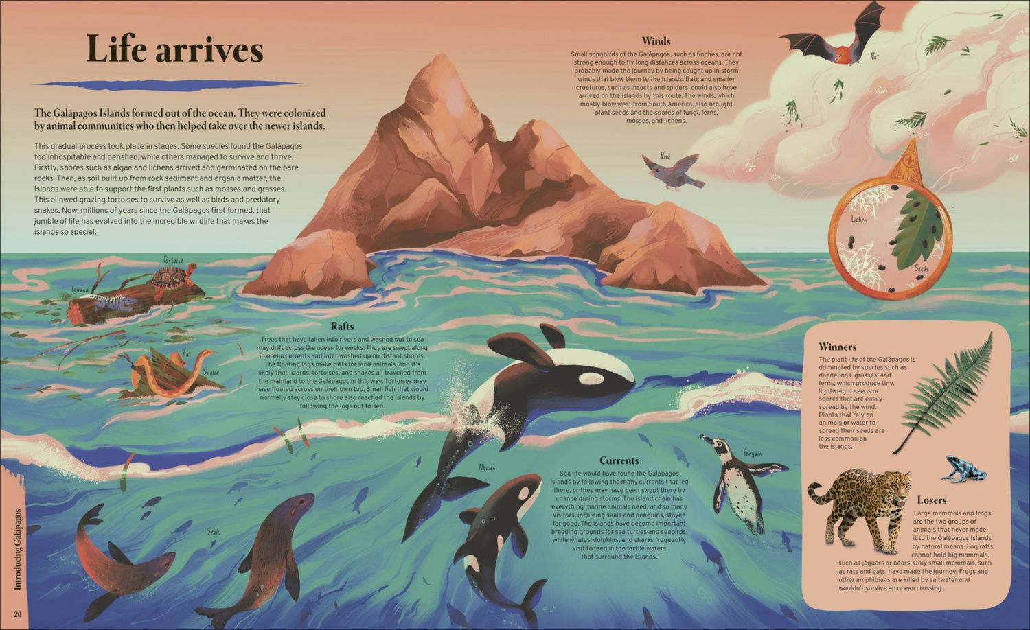 Tom Jackson: Galapagos