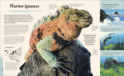 Tom Jackson: Galapagos
