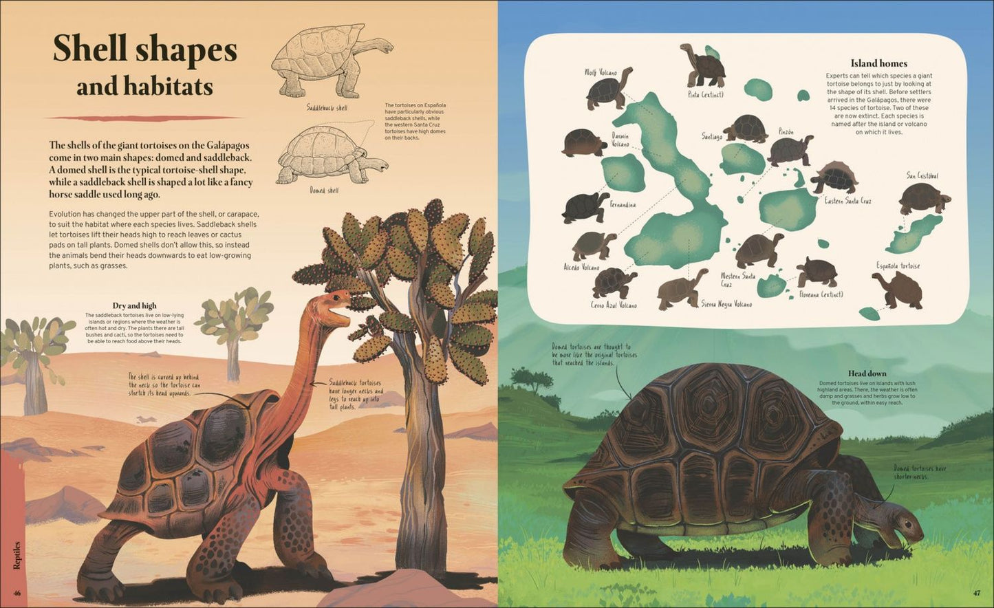Tom Jackson: Galapagos