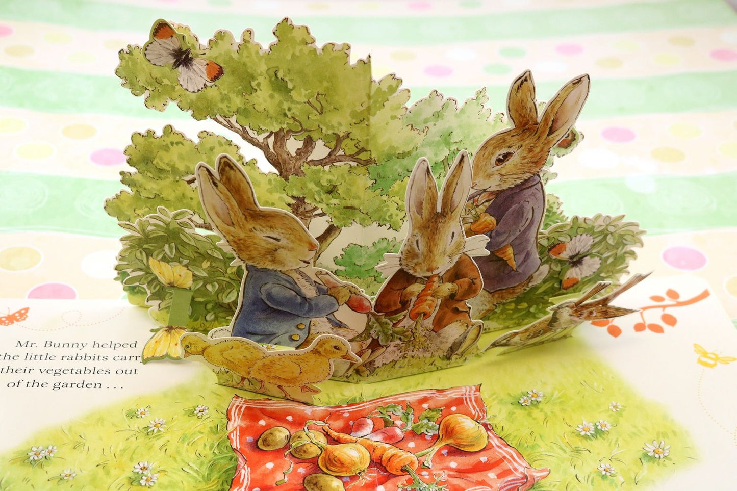 Beatrix Potter: Peter's Picnic. A Pull and Play Book