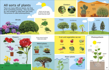 Jules Pottle: 1000 Words. Nature