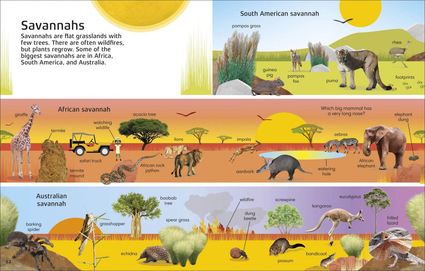 Jules Pottle: 1000 Words. Nature