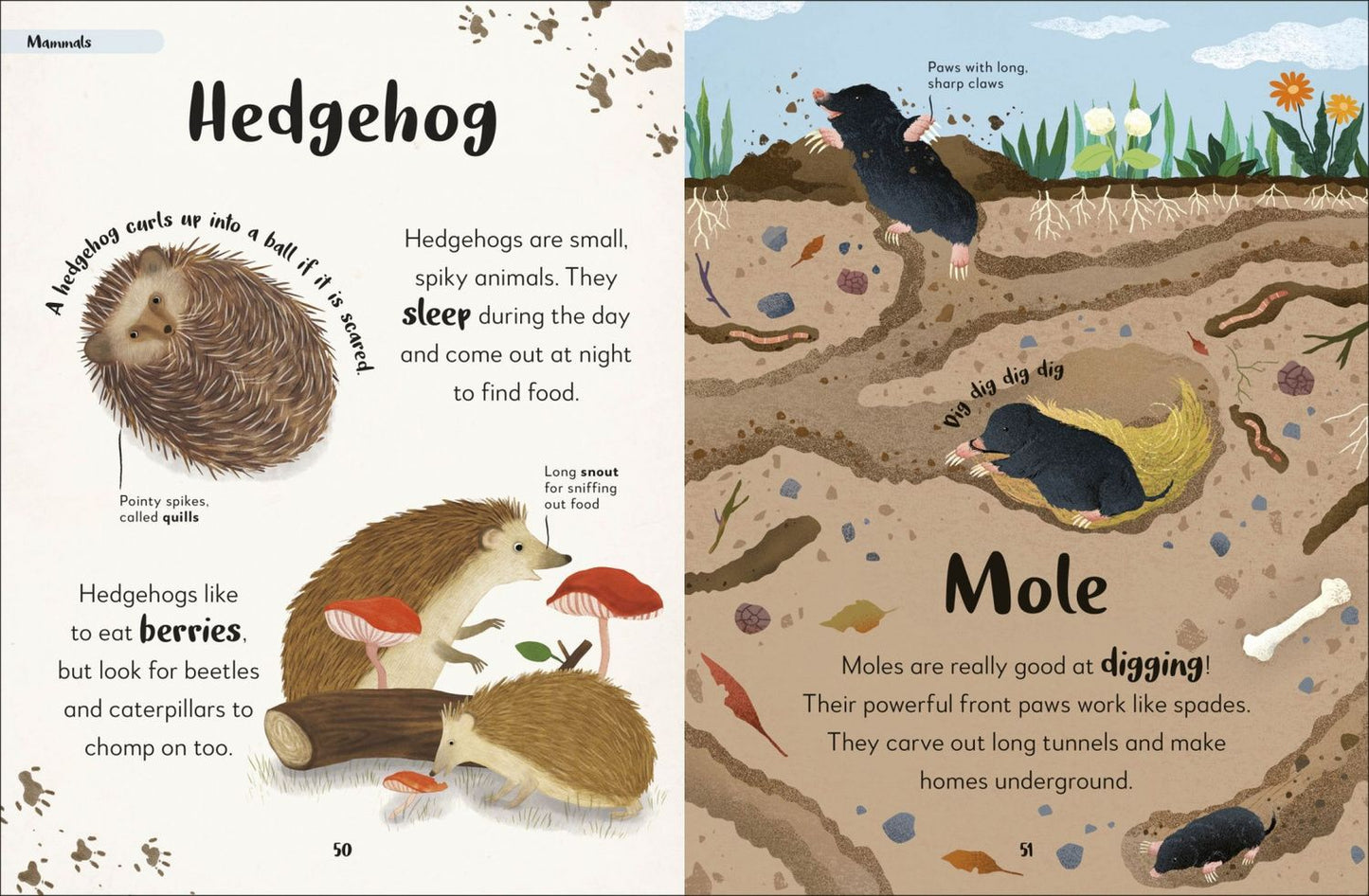 The Bedtime Book of Animals. Take a Peek at more than 50 of your Favourite Animals