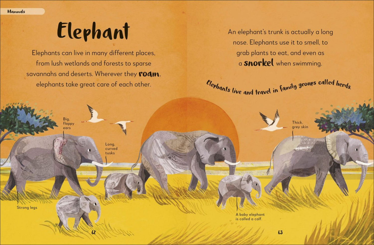 The Bedtime Book of Animals. Take a Peek at more than 50 of your Favourite Animals
