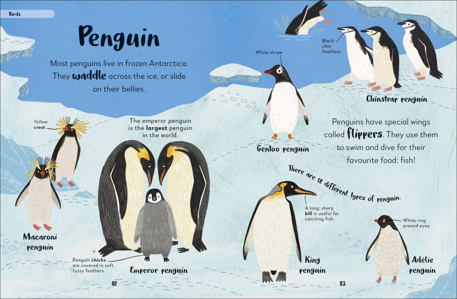 The Bedtime Book of Animals. Take a Peek at more than 50 of your Favourite Animals