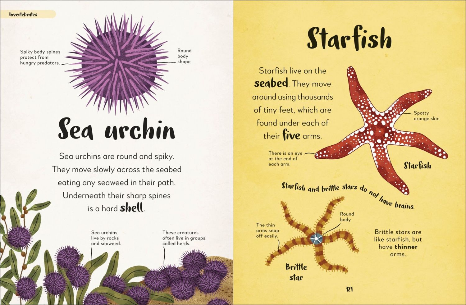 The Bedtime Book of Animals. Take a Peek at more than 50 of your Favourite Animals