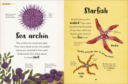 The Bedtime Book of Animals. Take a Peek at more than 50 of your Favourite Animals