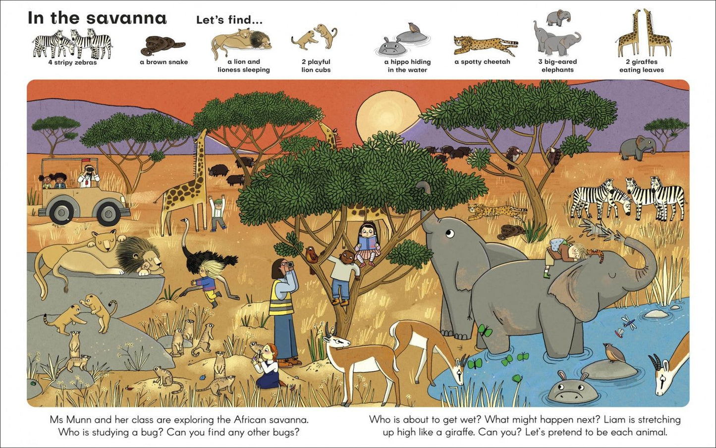Find My Favourite Animals