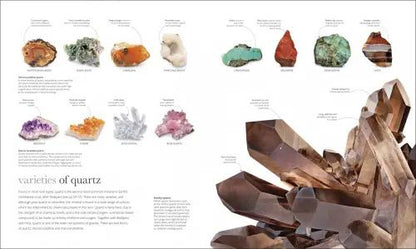 The Science of the Earth. The Secrets of Our Planet Revealed
