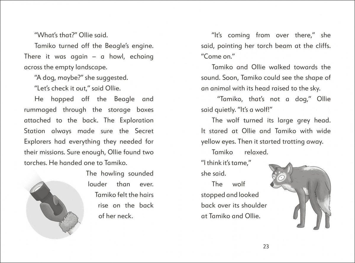 SJ King: The Secret Explorers and the Ice Age Adventure