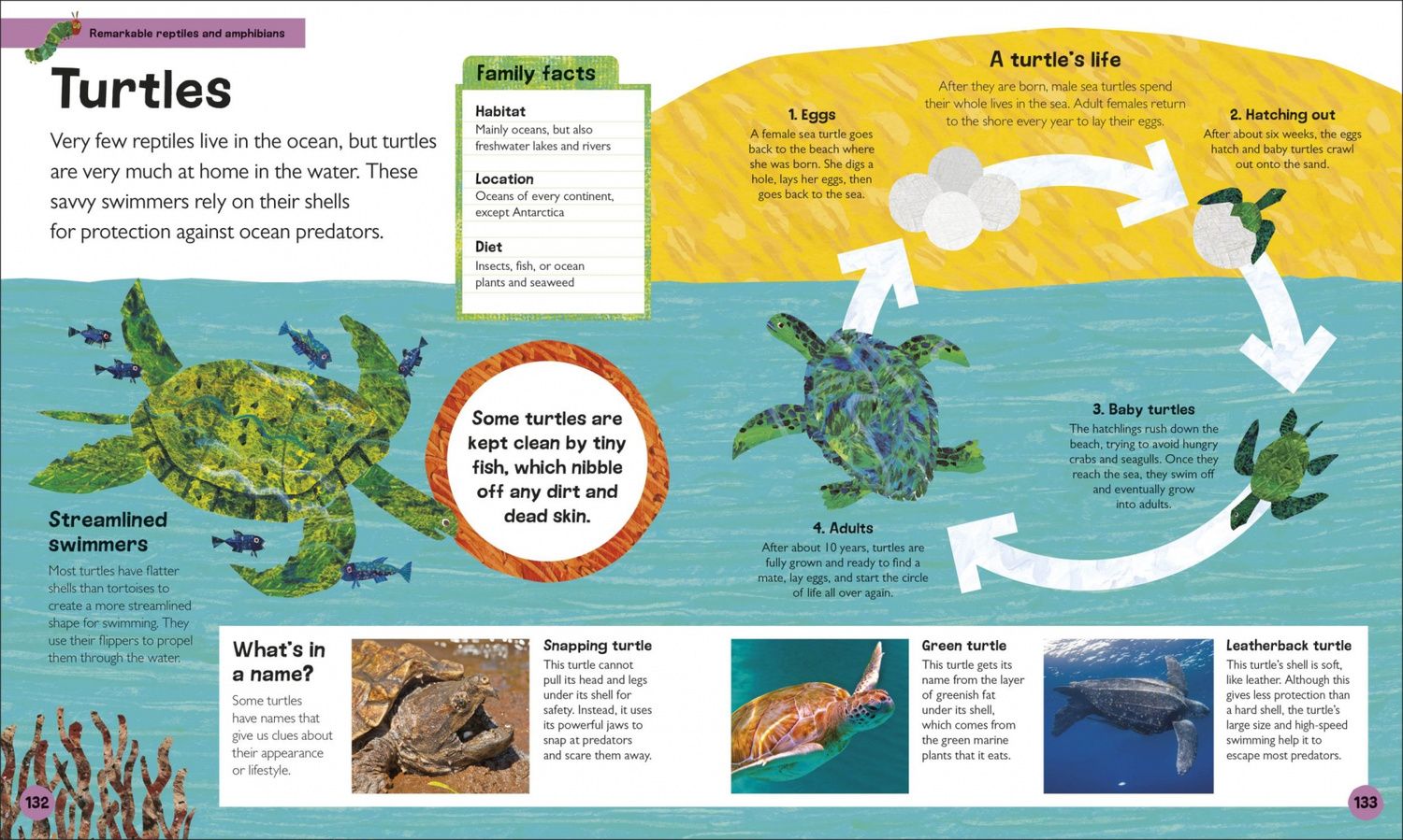 Andrea Mills: The Very Hungry Caterpillar's. Very First Animal Encyclopedia