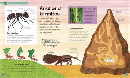 Andrea Mills: The Very Hungry Caterpillar's. Very First Animal Encyclopedia
