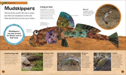 Andrea Mills: The Very Hungry Caterpillar's. Very First Animal Encyclopedia
