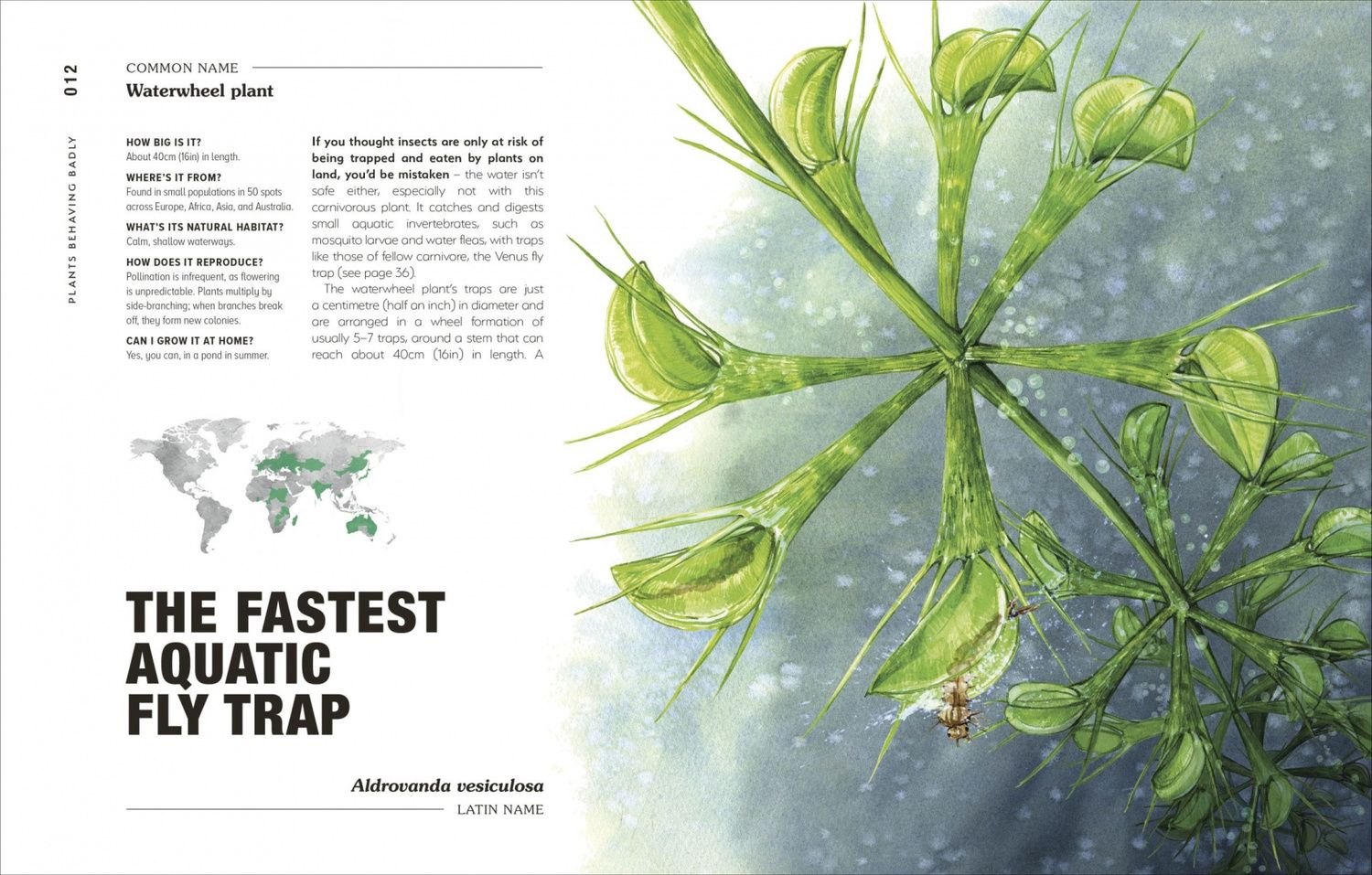 Michael Perry: Hortus Curious. Discover the World's Most Weird and Wonderful Plants and Fungi