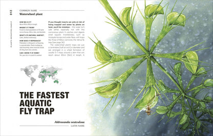 Michael Perry: Hortus Curious. Discover the World's Most Weird and Wonderful Plants and Fungi