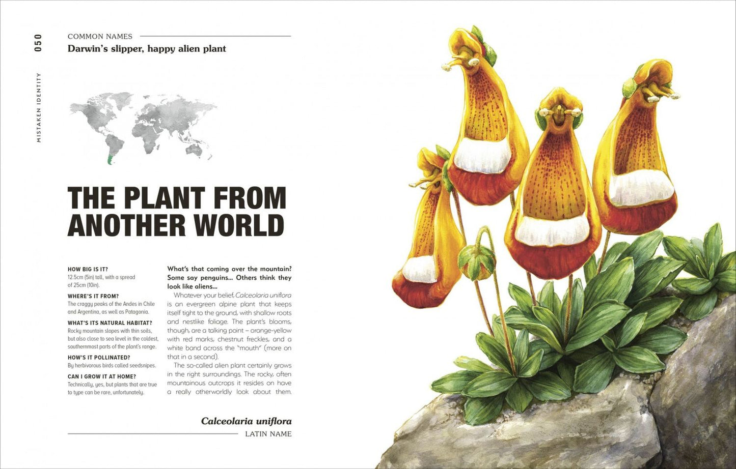 Michael Perry: Hortus Curious. Discover the World's Most Weird and Wonderful Plants and Fungi