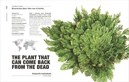 Michael Perry: Hortus Curious. Discover the World's Most Weird and Wonderful Plants and Fungi