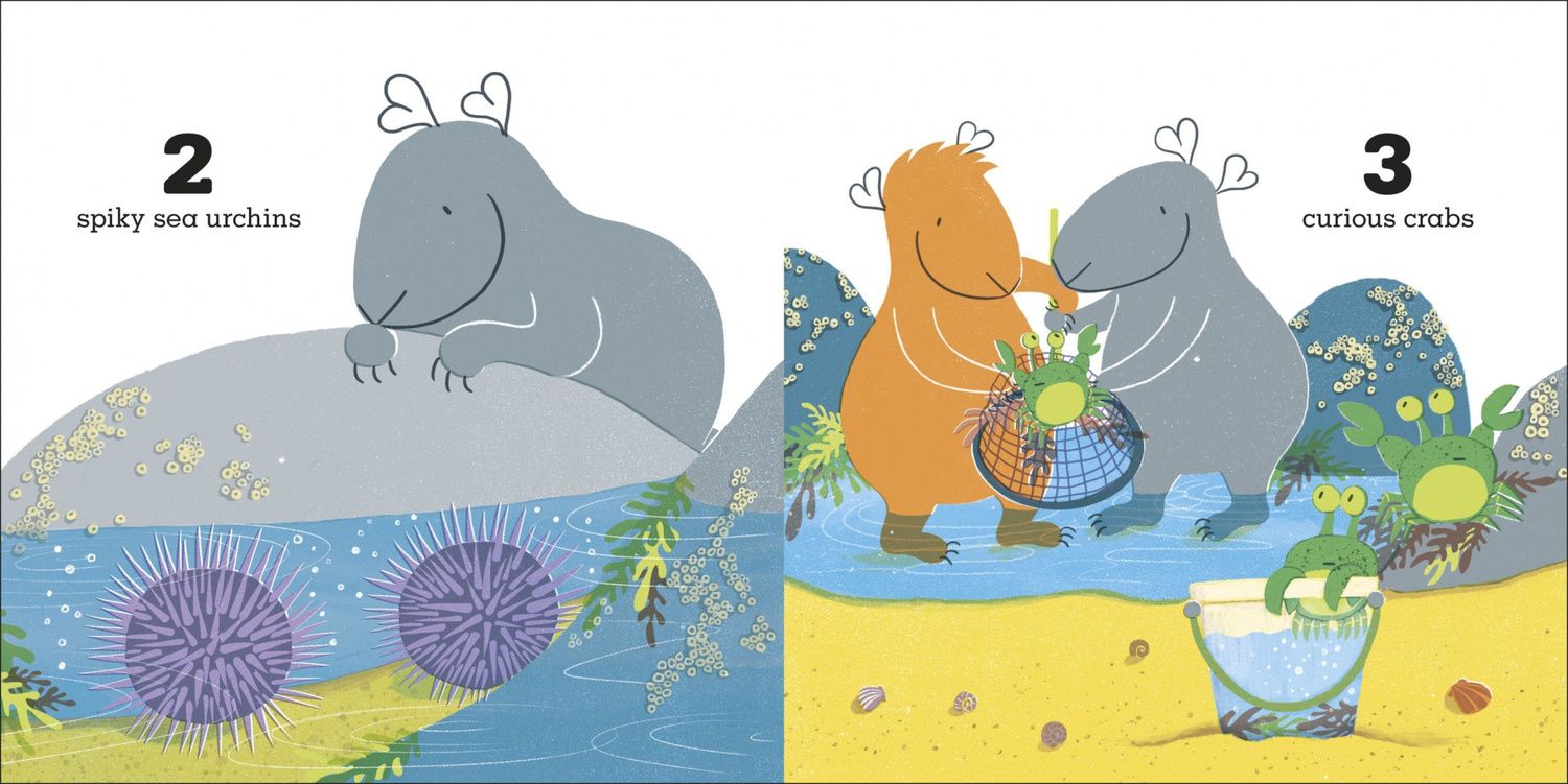 Kate Sheehy: Guinea Pigs Go to the Beach