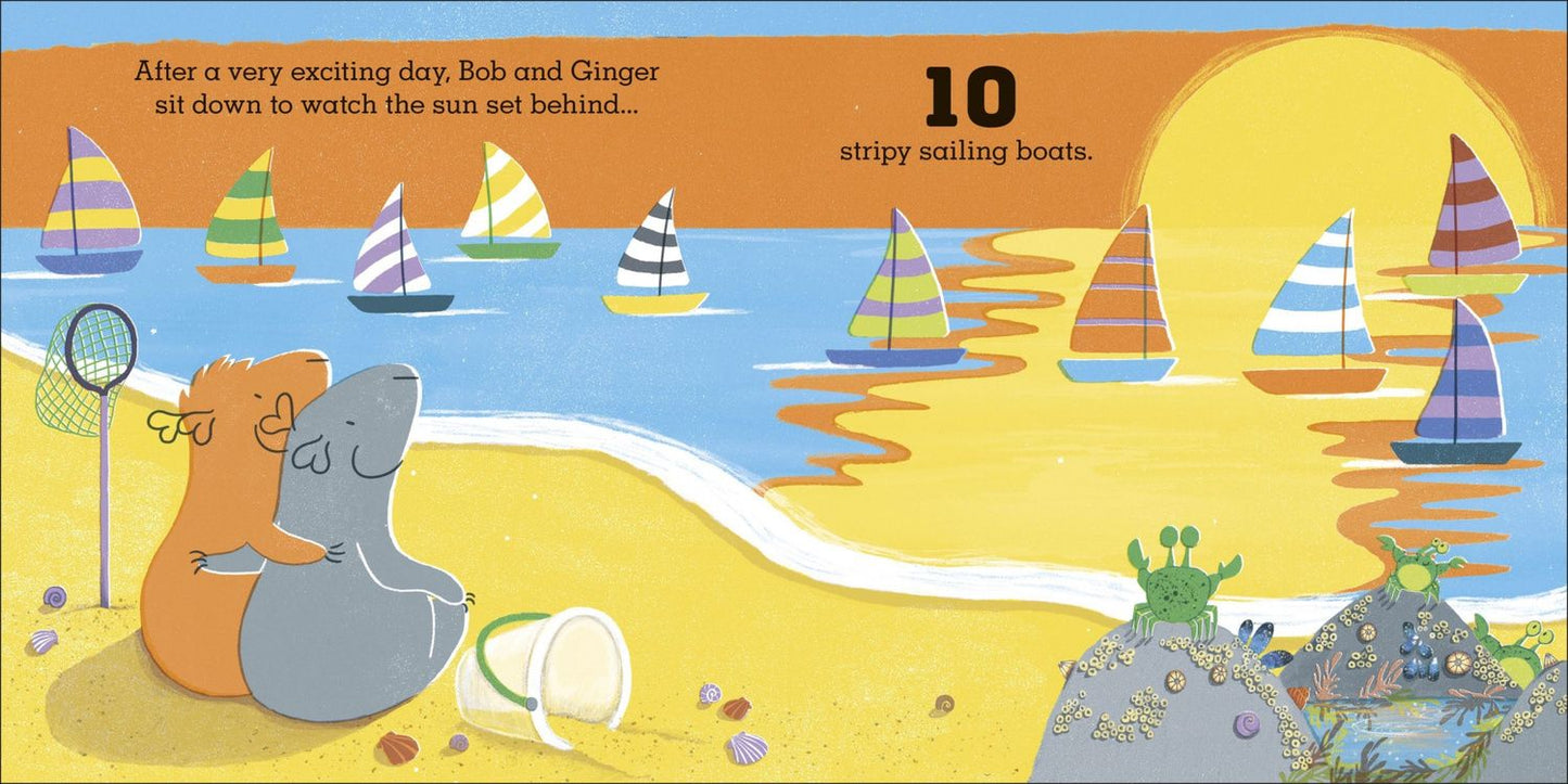Kate Sheehy: Guinea Pigs Go to the Beach