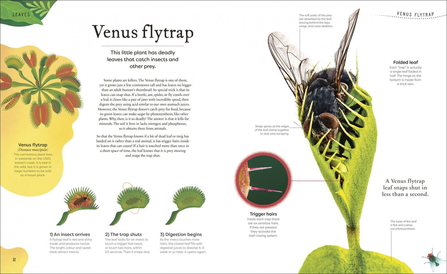 Ben Hoare: The Secret World of Plants. Tales of More Than 100 Remarkable Flowers, Trees, and Seeds