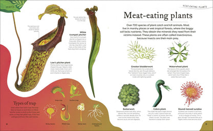 Ben Hoare: The Secret World of Plants. Tales of More Than 100 Remarkable Flowers, Trees, and Seeds