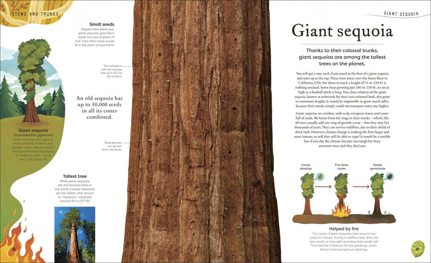 Ben Hoare: The Secret World of Plants. Tales of More Than 100 Remarkable Flowers, Trees, and Seeds
