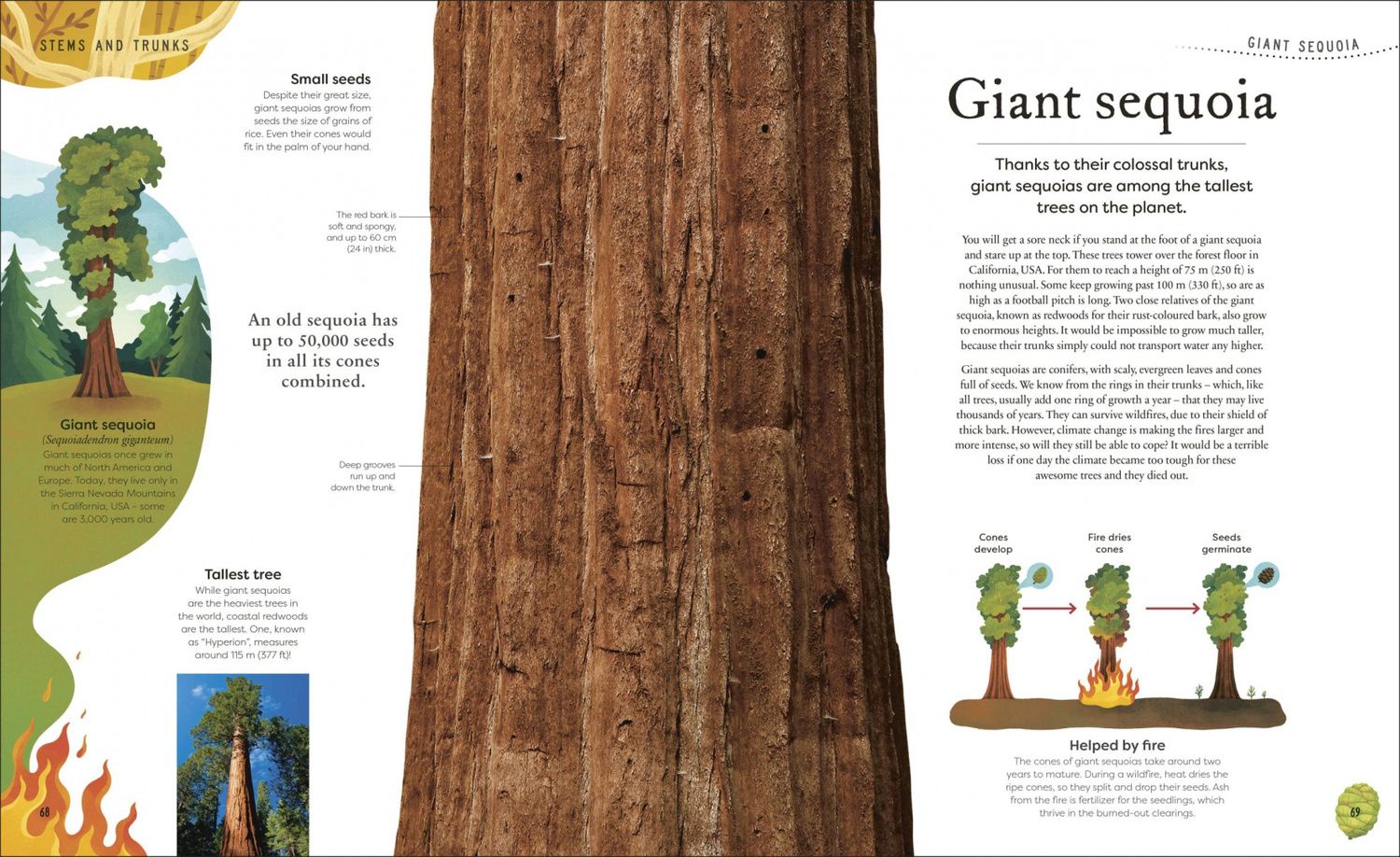 Ben Hoare: The Secret World of Plants. Tales of More Than 100 Remarkable Flowers, Trees, and Seeds