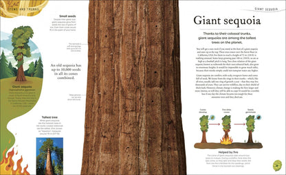 Ben Hoare: The Secret World of Plants. Tales of More Than 100 Remarkable Flowers, Trees, and Seeds