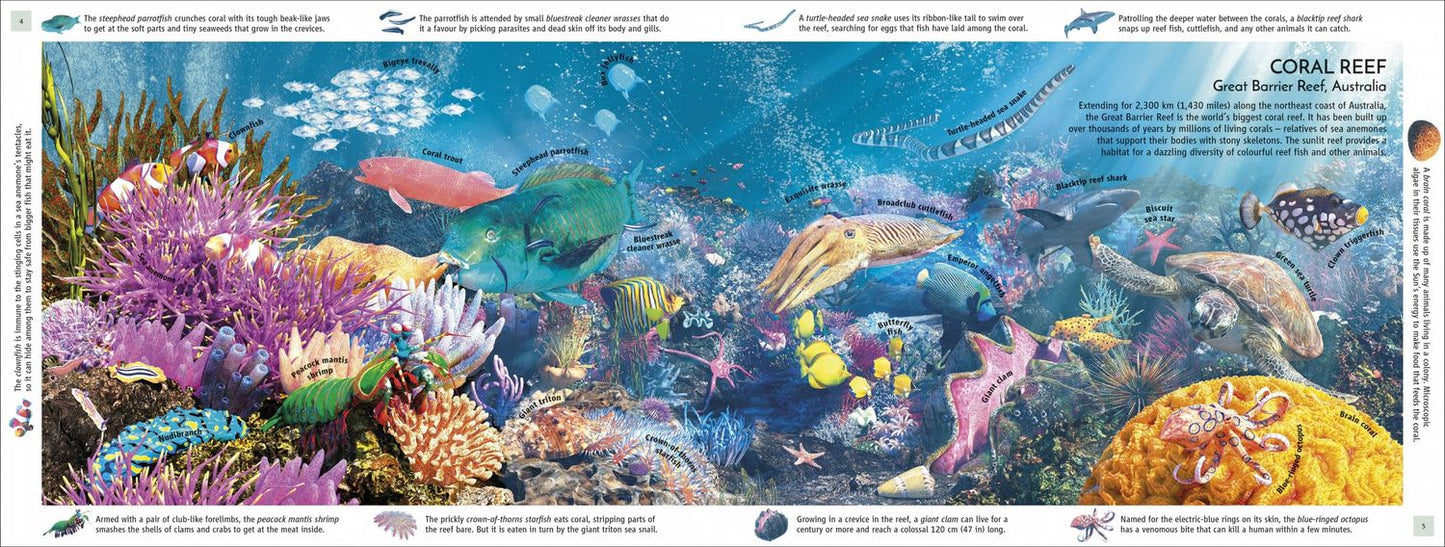 John Woodward: Habitats of the World