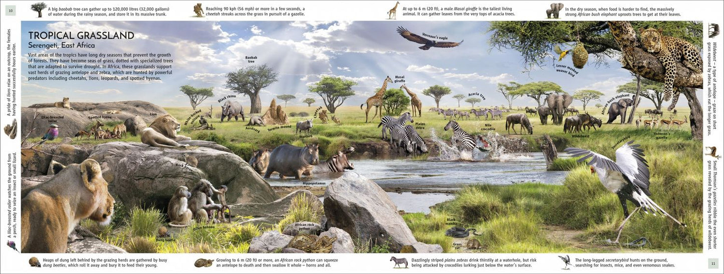 John Woodward: Habitats of the World