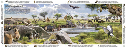 John Woodward: Habitats of the World