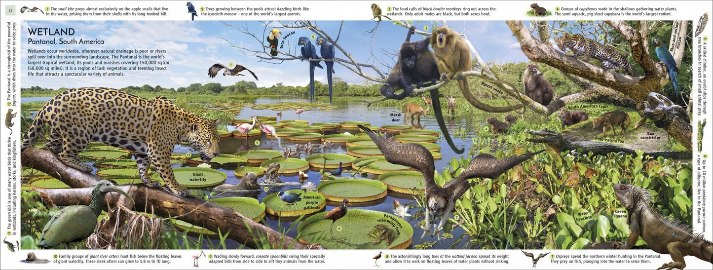 John Woodward: Habitats of the World