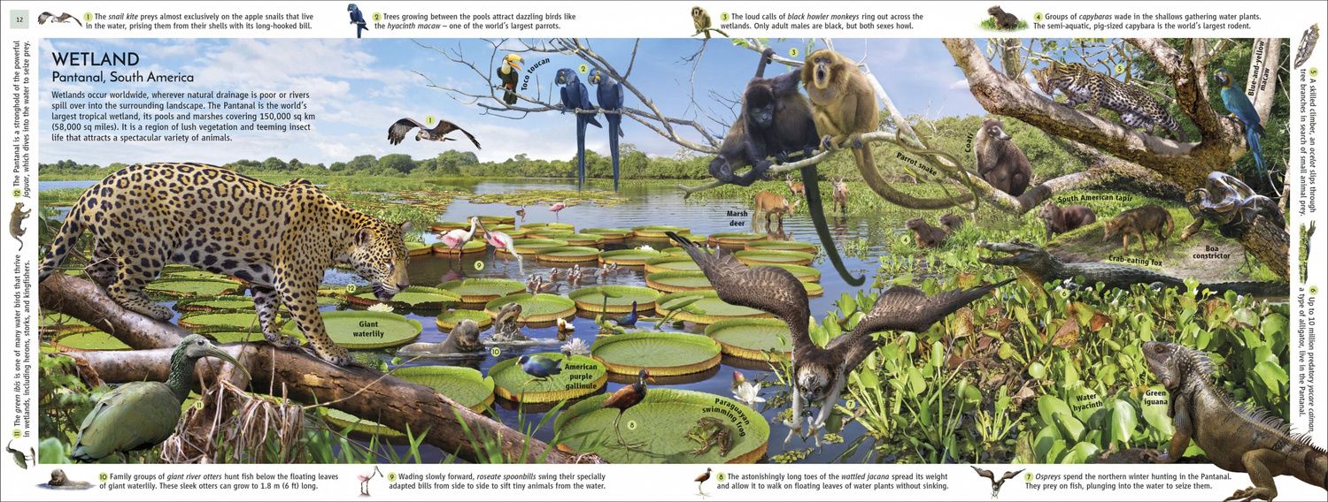 John Woodward: Habitats of the World