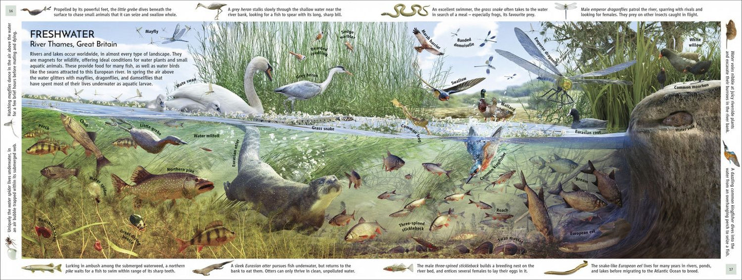 John Woodward: Habitats of the World