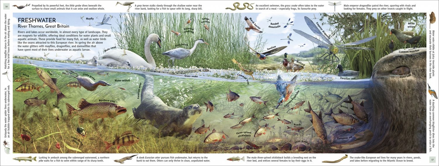 John Woodward: Habitats of the World