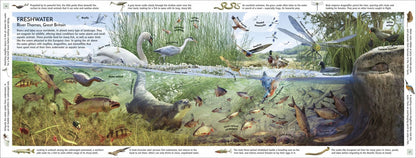 John Woodward: Habitats of the World