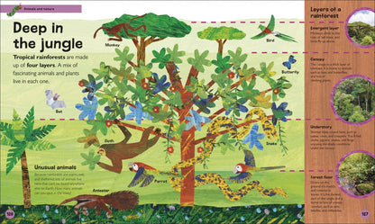 The Very Hungry Caterpillar's Very First Encyclopedia