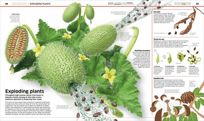 Knowledge Encyclopedia Plants and Fungi!