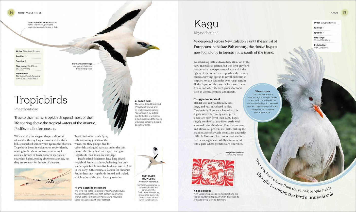 The Bird Book