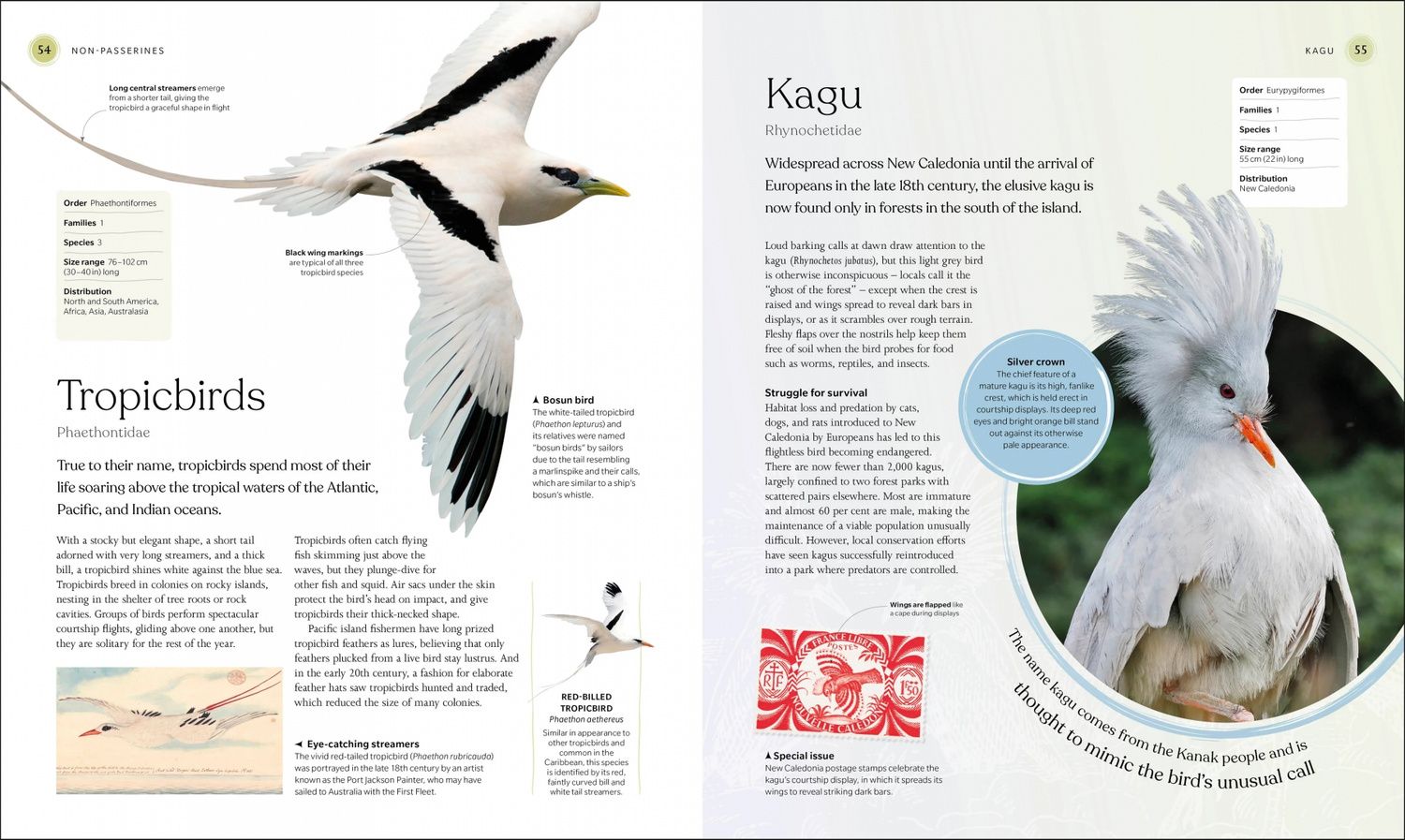 The Bird Book