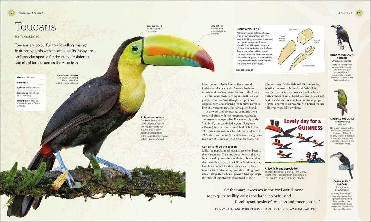 The Bird Book