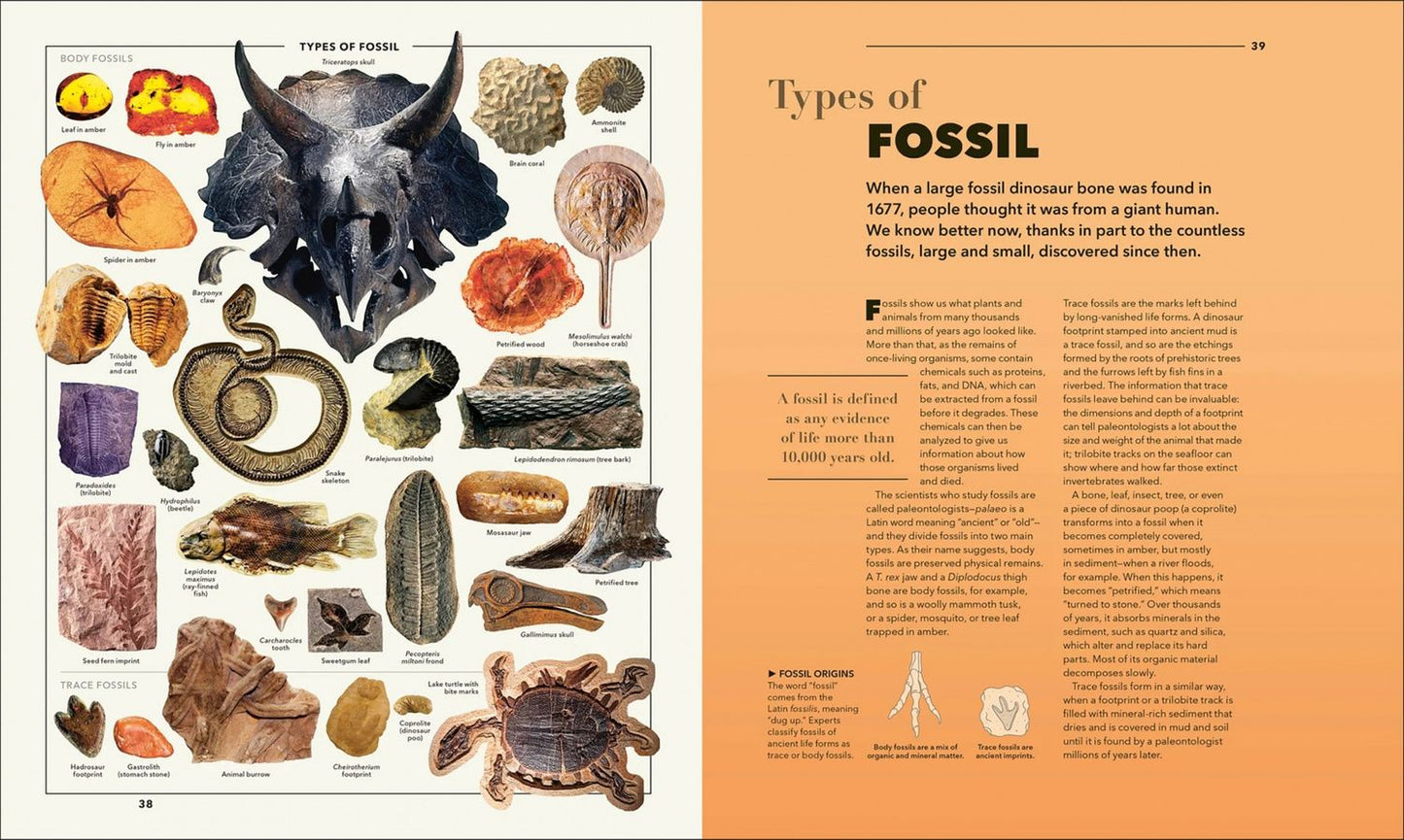 Knowledge. A Visual Compendium