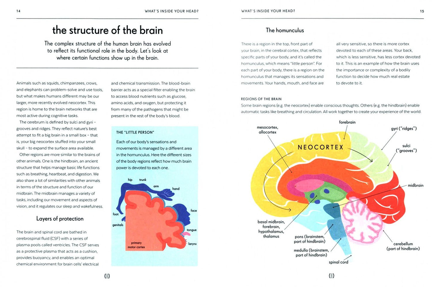 Elizabeth Ricker: Brain. An Owner's Guide