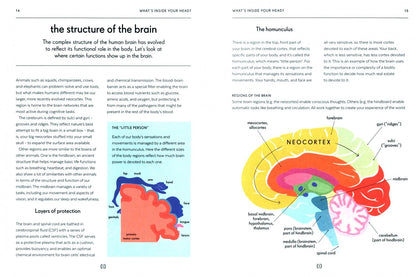 Elizabeth Ricker: Brain. An Owner's Guide